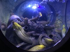 -成都浩海立方海洋公园