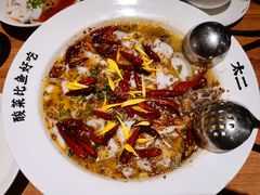 -太二酸菜鱼(汕头苏宁广场店)