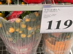 -山姆会员商店(亦庄创意生活广场店)