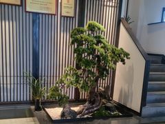 -溪畔•新徽菜(碧湖云溪店)