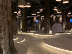 -清河半岛温泉度假酒店