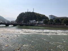 -龙游祖传豆腐丸