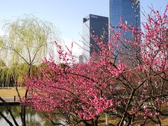 -白塘生态植物园