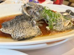 -骏莱海鲜鱼港(五角场店)