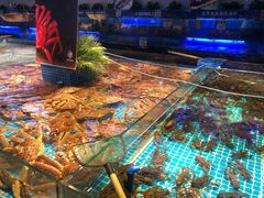 水产区-驻海渔市(置信店)