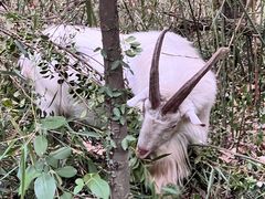 -上海佘山国家森林公园天马山园