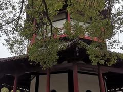 -绳金塔