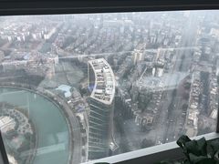 -339旋转餐厅(天府熊猫塔店)