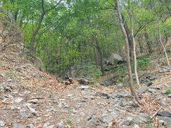 -北京鹫峰国家森林公园