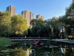 -长白岛森林公园