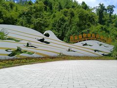-西双版纳原始森林公园