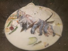 -鲜潭蒸汽石锅鱼(五道口购物中心店)