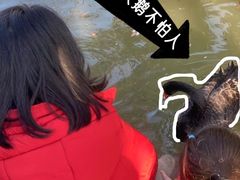 -得丘礼享谷·玉兰苑