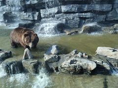 -北京野生动物园