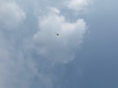 -桤木河湿地公园