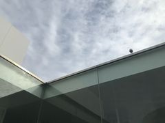 -金泽21世纪美术馆