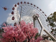 -东湖磨山景区