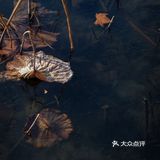 冰封西湖‼️五十年罕见景观‼️高清图美炸‼️附攻略