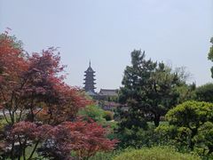 -苏州吴宫泛太平洋酒店