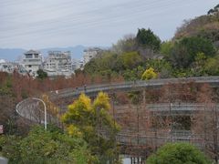 -福道