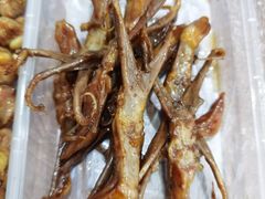 卤鸭舌-蓝精灵饺子店