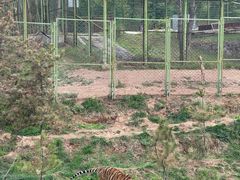 -青藏高原野生动物园