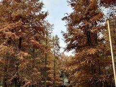 -青山湖景区