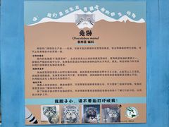 -青藏高原野生动物园