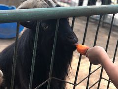 -祥源·阜阳生态乐园