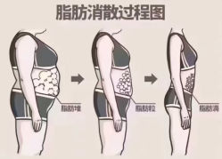 -Fundi张玉珊修身堂·indiba·BTL科技瘦身