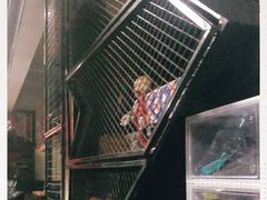 -UP嘻哈酒吧(粉巢店)