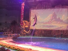 -华夏文旅海洋公园