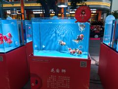 -闽江夜游台江旅游码头