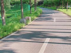 -长白岛森林公园