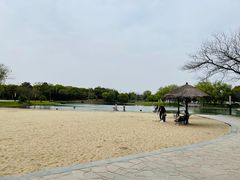 -上海佘山世茂艾美酒店