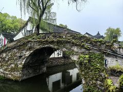 -鲁镇