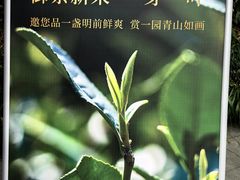 -十八棵（老龙井）御茶园(老龙井店)