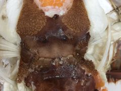-首旅京伦酒店·8号时尚餐厅
