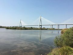 -芒洲湿地公园
