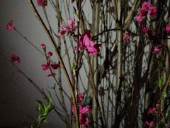 -乌山风景区