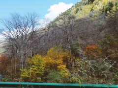 -叠溪松坪沟景区