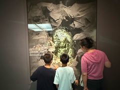 -湖南省地质博物馆