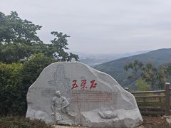 -铁山坪森林公园