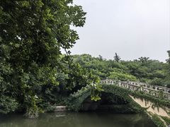 -梅园