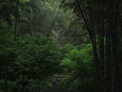 -兰亭风景区