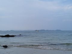 -杨梅坑