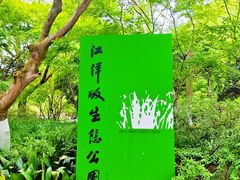 -西湖风景区-江洋畈生态公园