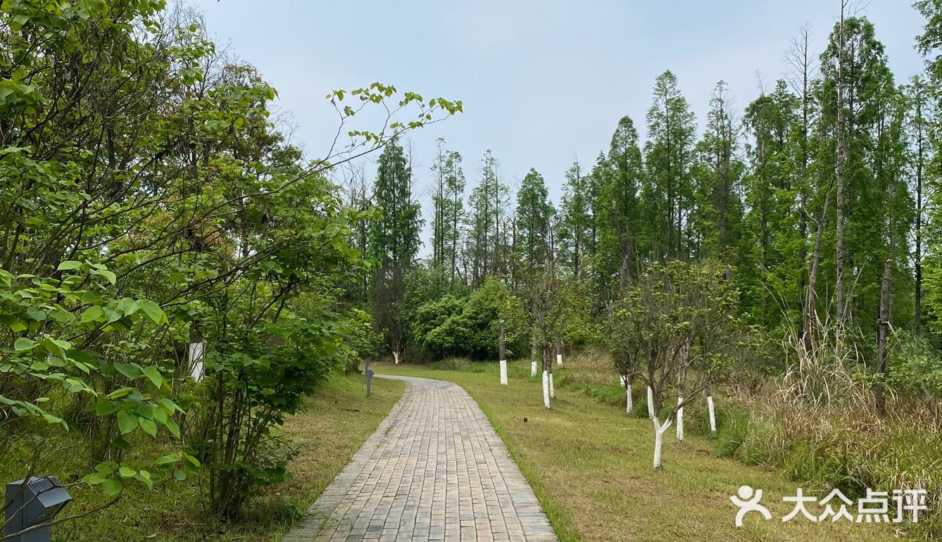 巴溪洲
