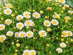 -真爱吐司(龙湖店)