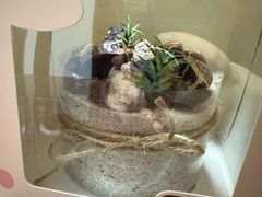 -可丽可丽·生日蛋糕·下午茶(厦门鹭港店)